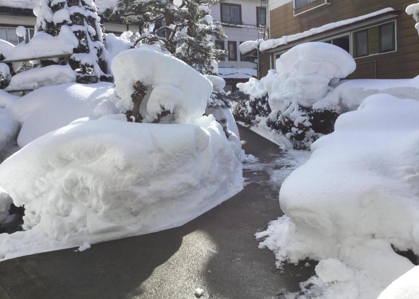 Nagano Nozawaonsen 