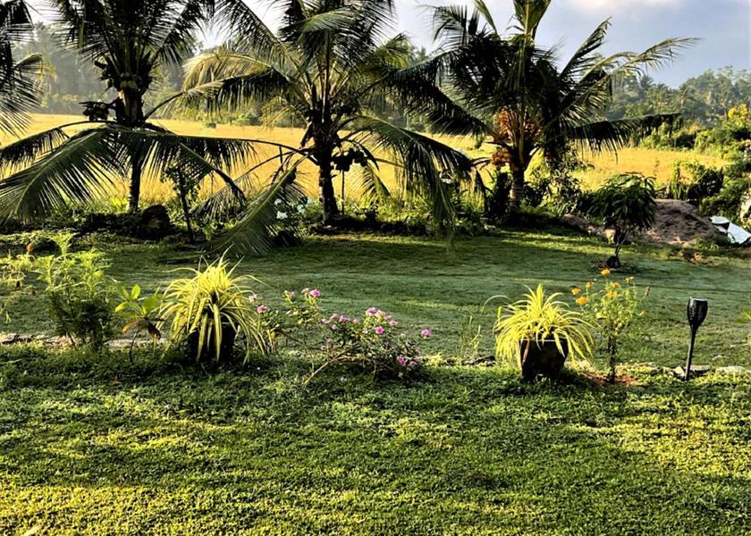 Southern Province Induruwa Garden