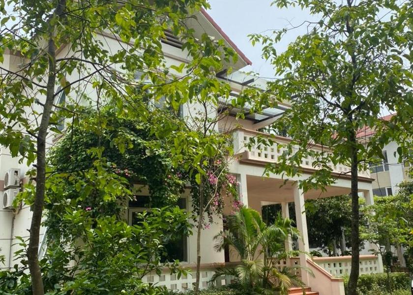 Thanh Hóa Province Hoang Hoa 