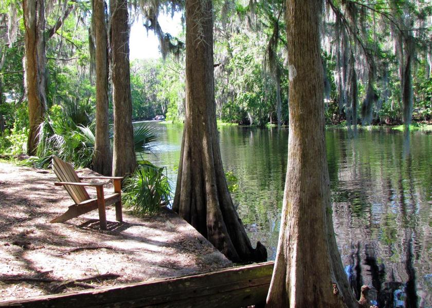 Florida Hawthorne 