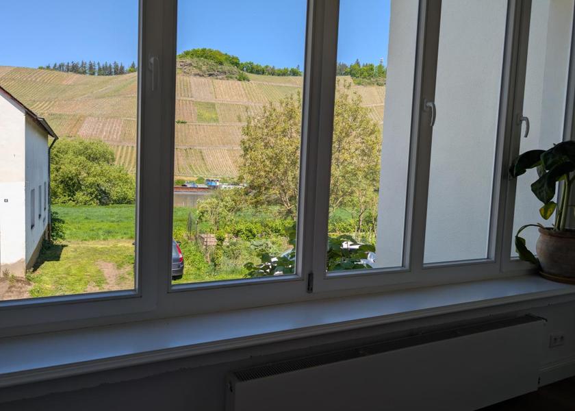 Rhineland-Palatinate Brauneberg View