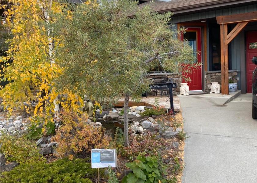 Alberta Canmore Entrance