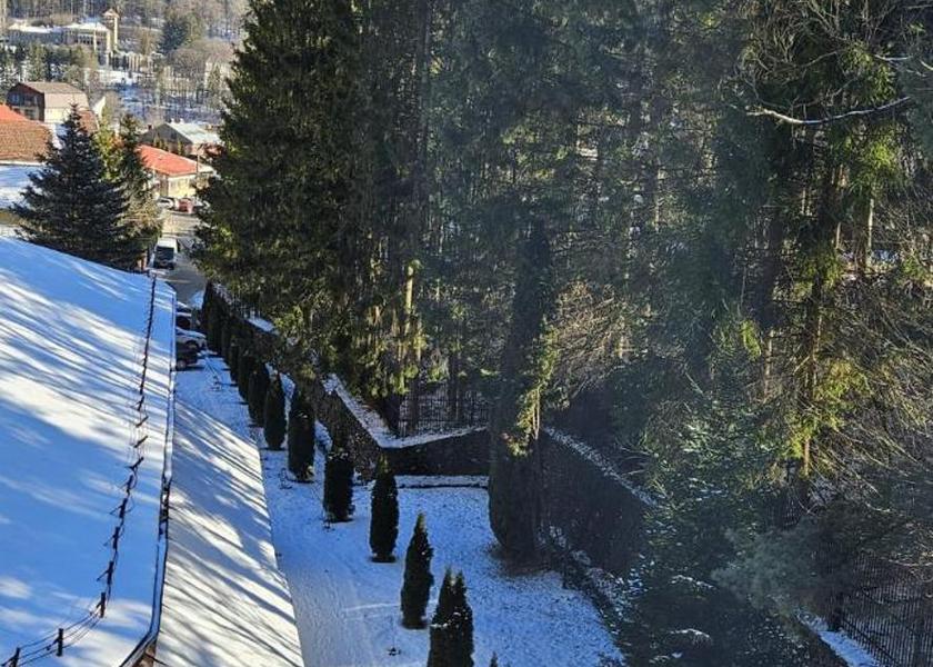Prahova County Busteni 
