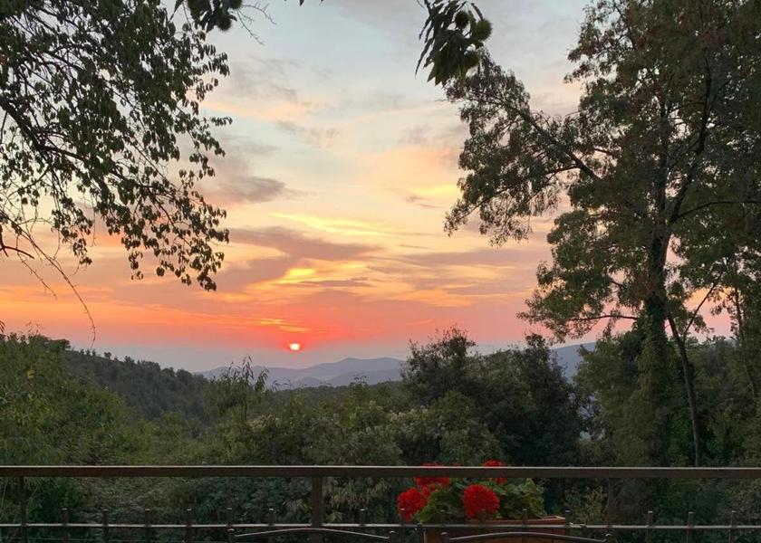 Tuscany Castiglione della Pescaia Restaurant