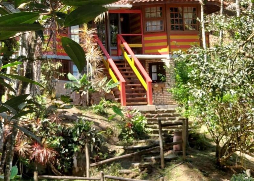 Rio de Janeiro State Macaé Garden