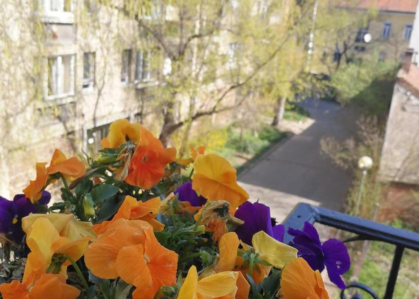 Csongrád Szeged View