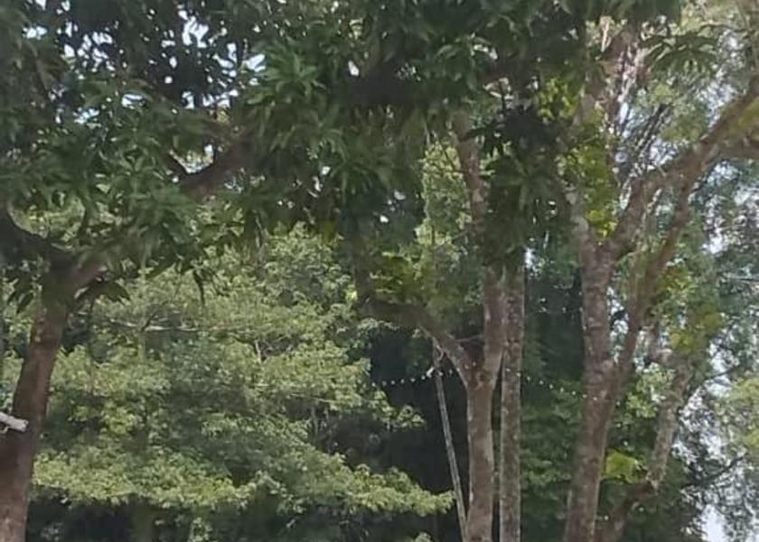 Kelantan Bachok 