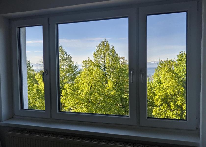 Baden-Württemberg Friedrichshafen View