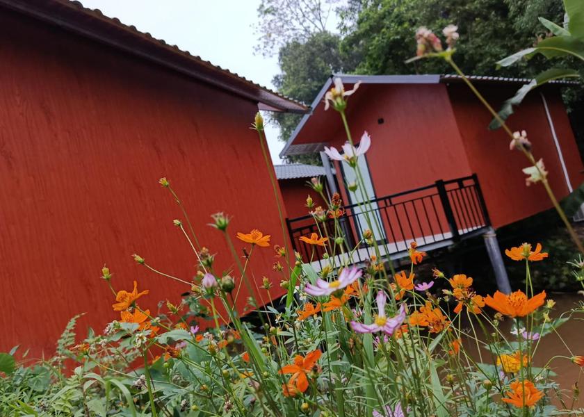 Tuyen Quang Province Ha Giang Exterior view