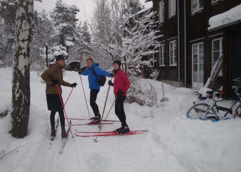 Stockholm County Johanneshov Sports and activities