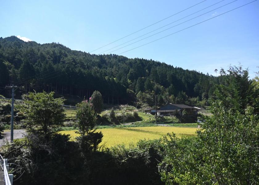 Gifu Gero 