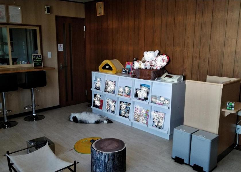 Hokkaido Otaru Shops