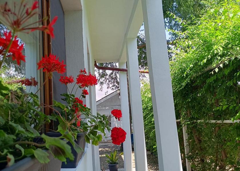 Constanța County Navodari Exterior view