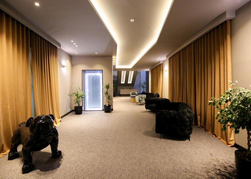 Vlorë County Vlorë Lobby