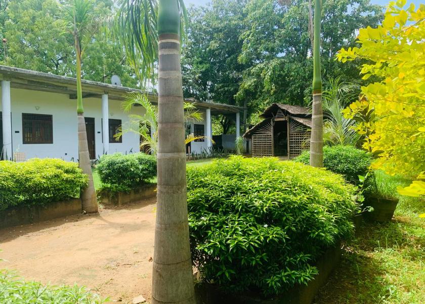 Uva Province Mahiyanganaya 