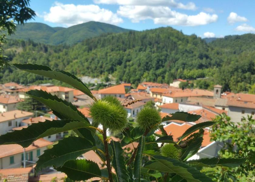 Tuscany San Marcello Piteglio View