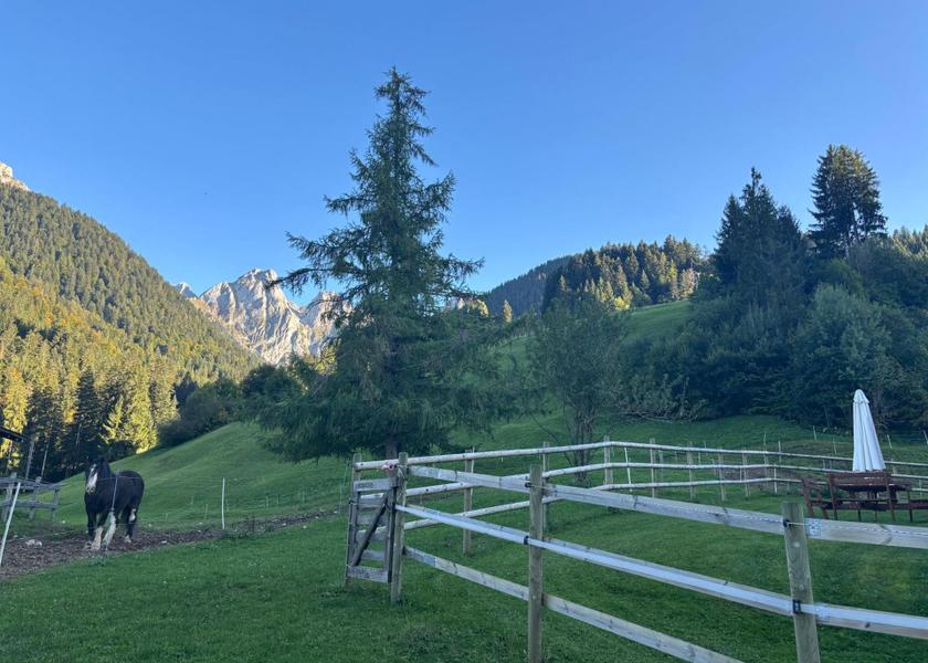Canton of Vaud Chateau-d'Oex 