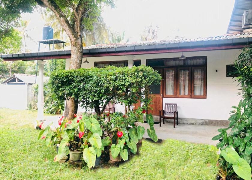 Southern Province Hikkaduwa Exterior view