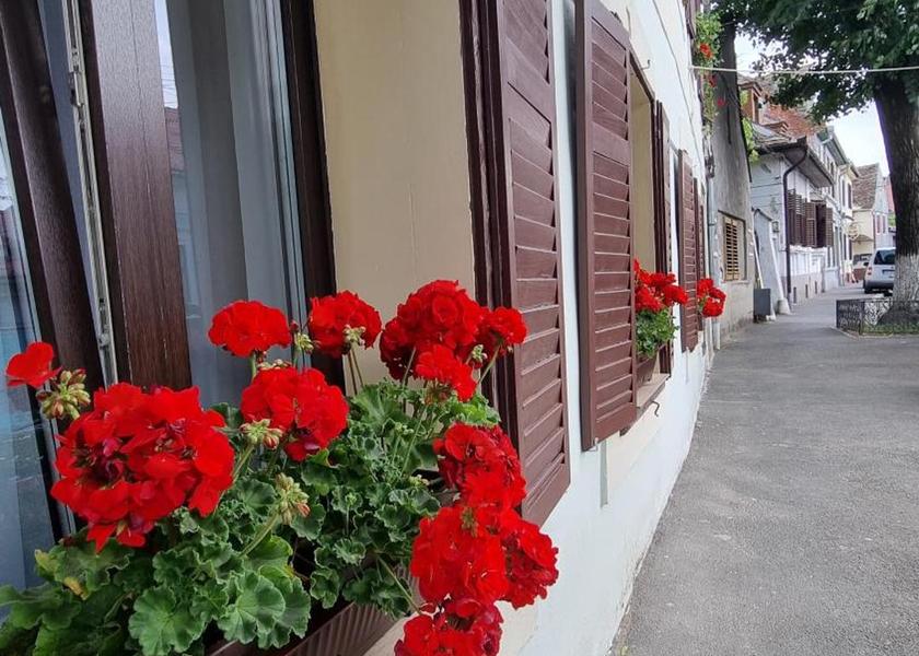 Sibiu Sibiu 