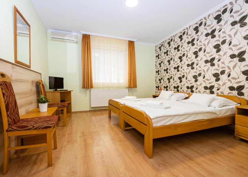 Hajdu-Bihar Debrecen Twin Room with Bathroom