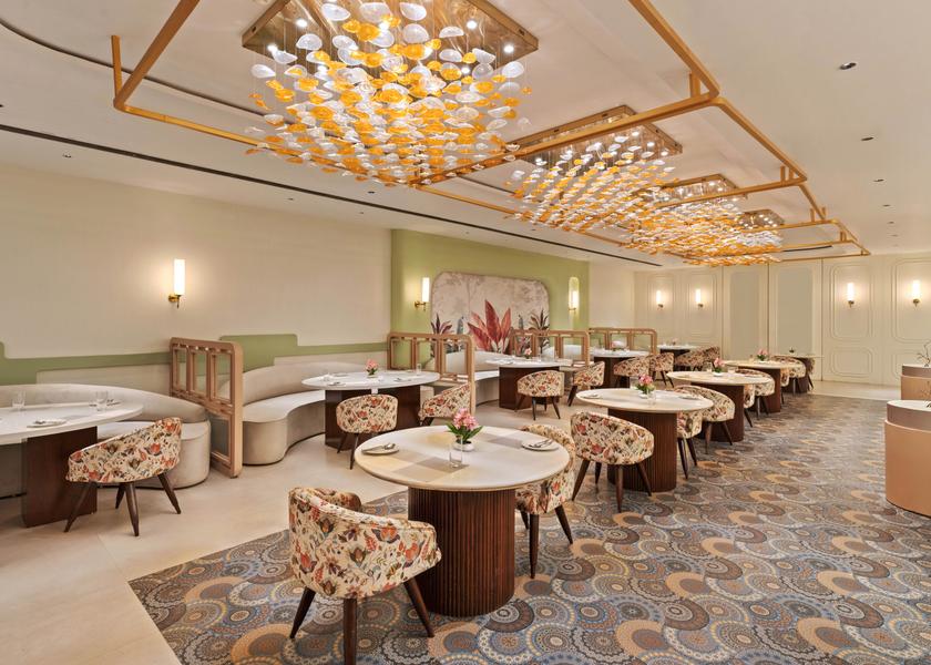 Jammu and Kashmir Katra Food & Dining