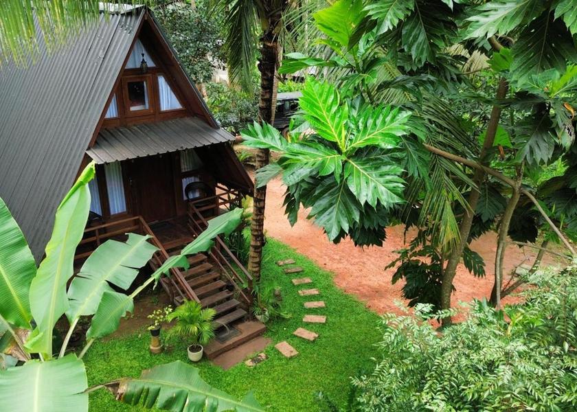 Central Province Sigiriya Garden