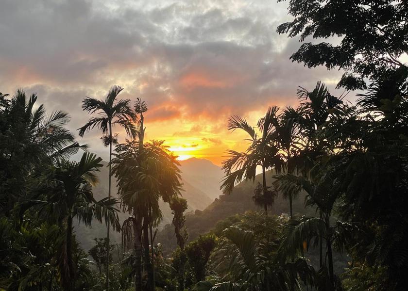 Uva Province Ella Surrounding environment