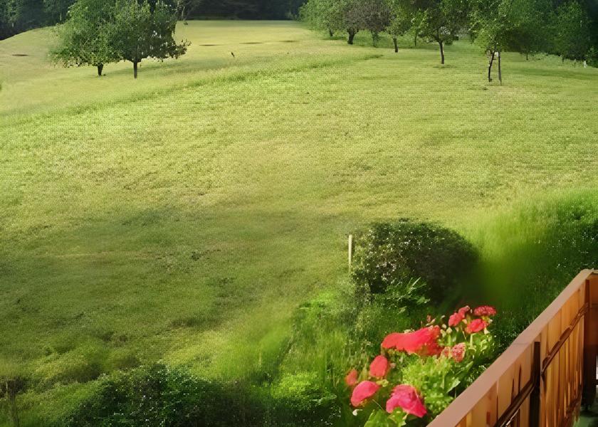 Baden-Württemberg Bad Peterstal-Griesbach Surrounding environment