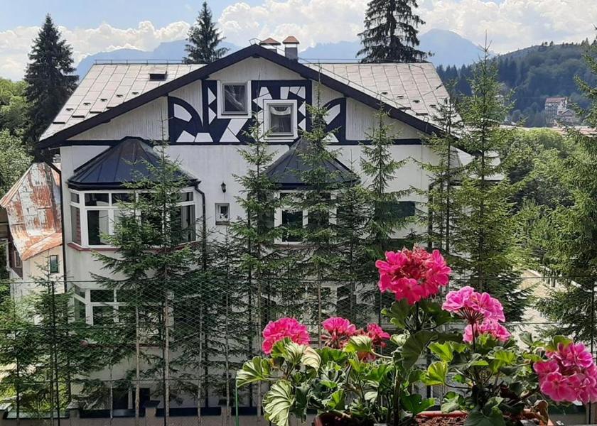 Brașov County Predeal View
