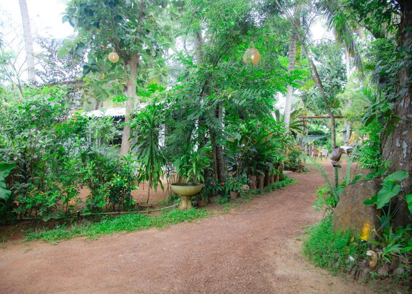 Southern Province Ahangama Surrounding environment