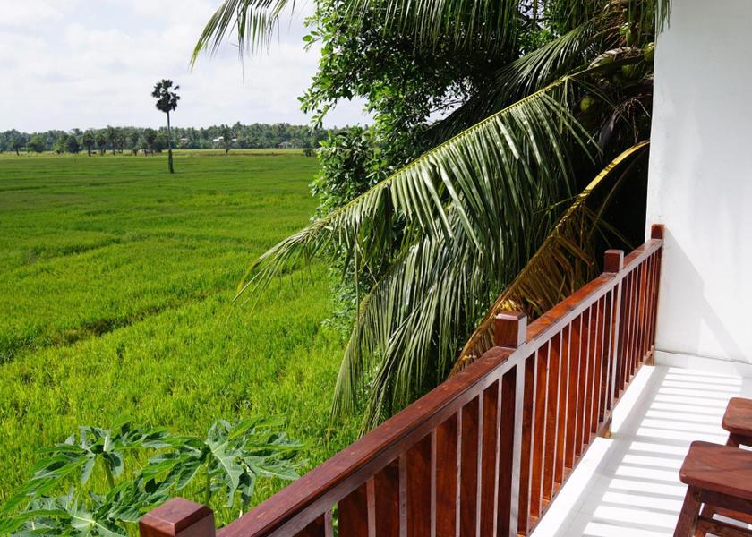 North Central Province Anuradhapura View