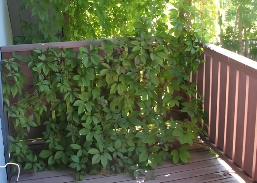 Saare County Kuressaare Balcony/terrace