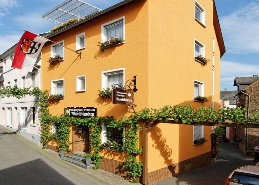 Rhineland-Palatinate Zeltingen-Rachtig Exterior view