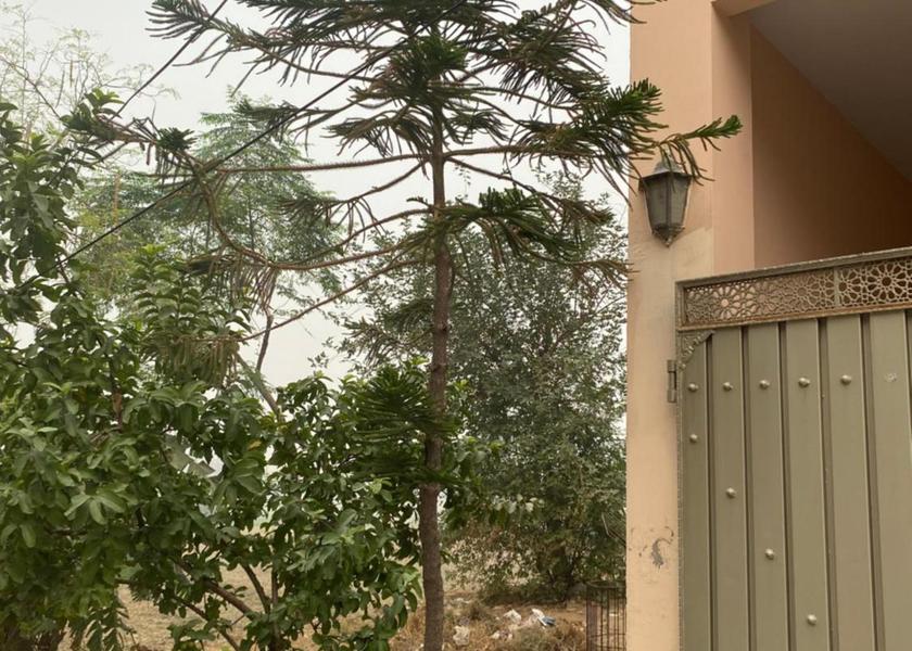 Punjab Lahore View