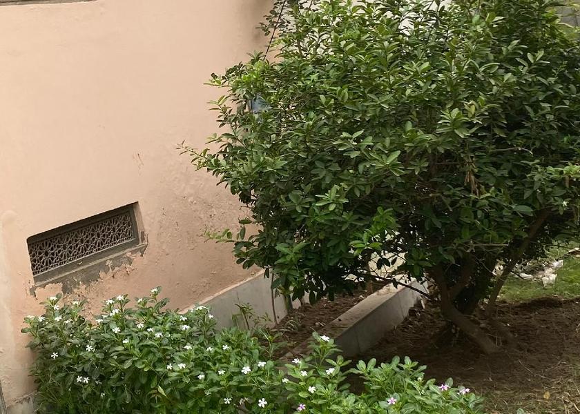 Punjab Lahore 
