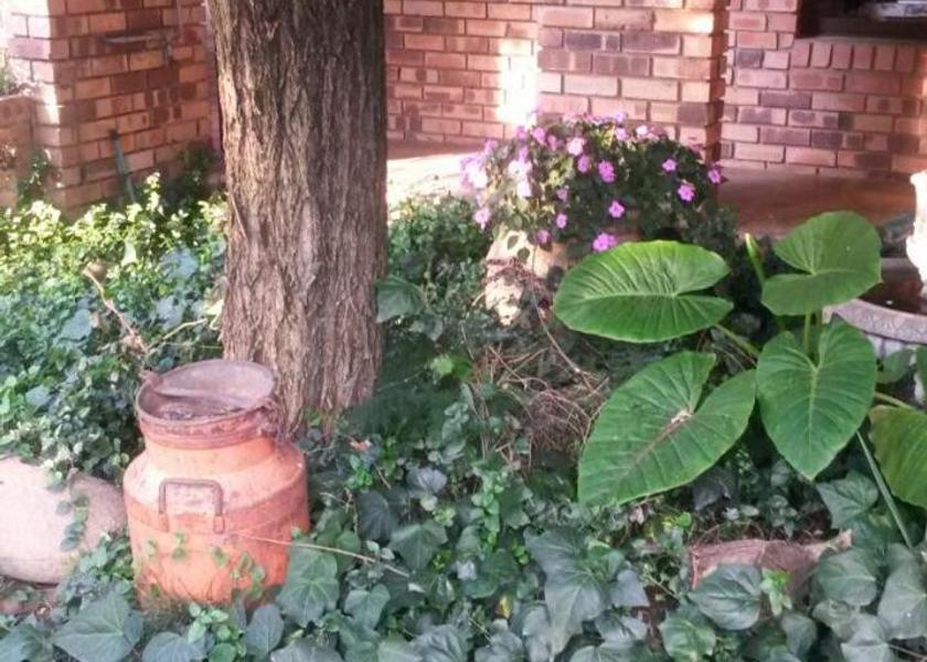 Gauteng Vanderbijlpark 