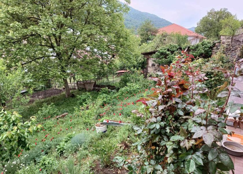 Tavush Province Dilijan View