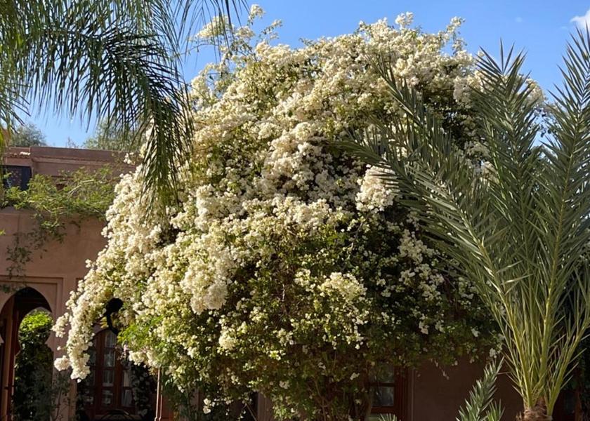 Marrakech-Safi Oulad Hassoune 