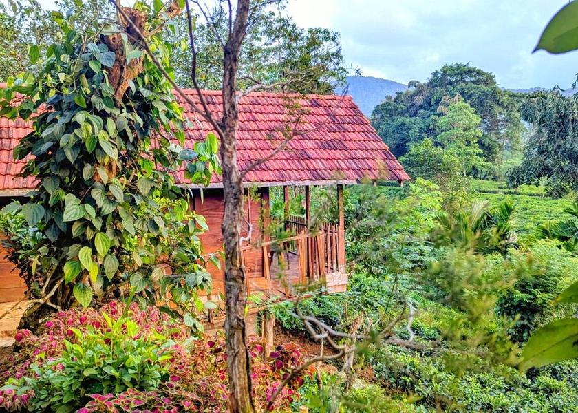 Southern Province Deniyaya Exterior view