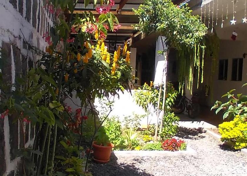 Sololá San Pedro La Laguna 