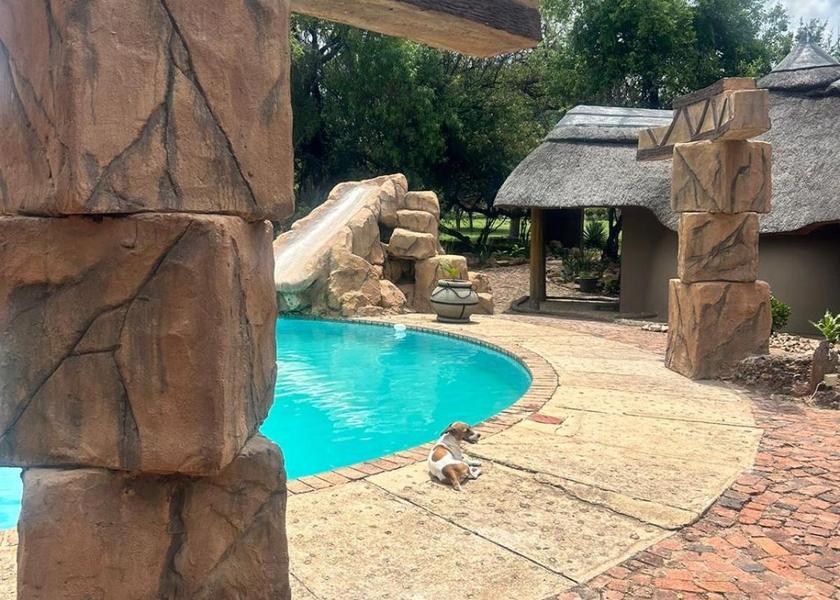 Limpopo Mookgopong 