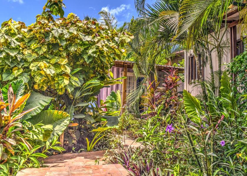 Bay Islands Roatan Hotel Exterior