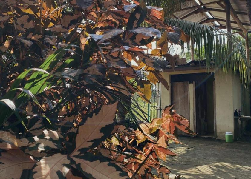 Chinandega Department El Viejo Hotel Exterior