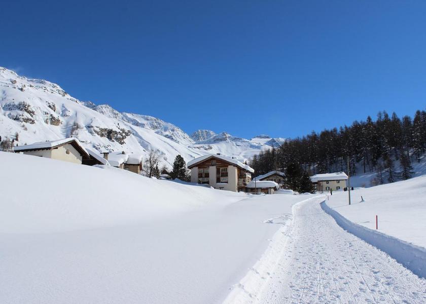 Graubünden Sils im Engadin-Segl Surrounding environment