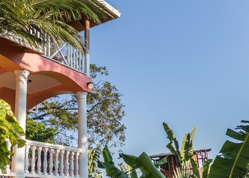 Bay Islands Roatan Surrounding environment