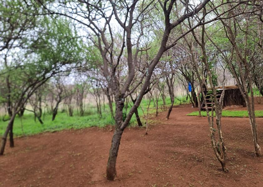 Limpopo Bela-Bela 