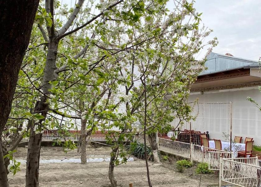 Samarkand Region Samarkand 