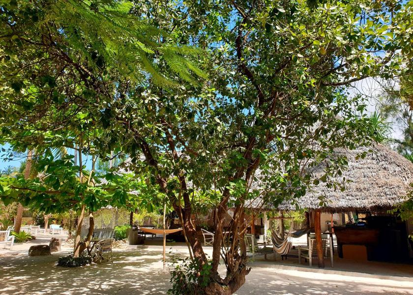 Unguja South Region Michamvi Facilities
