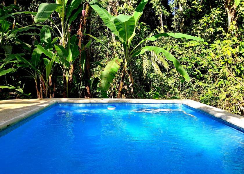 Limón Province Cahuita Swimming pool
