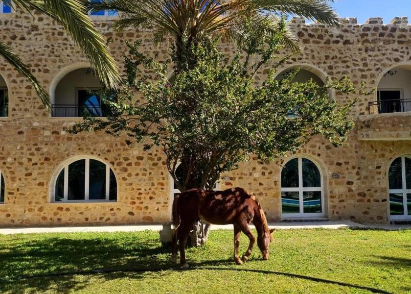 Nabeul Governorate Hammamet 